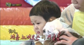 애니멀즈, 이렇게 귀여운 아이와 동물 나오는데 왜?