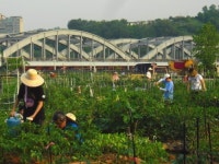 이승만의 한강대교 폭파... 그런 일이 있었냐고?