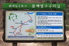 벌써 봄이 도착한 이곳, 이름도 특이합니다