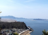 발견한 유물, 내꺼다 하면 감옥갑니다