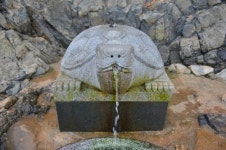 이 목조다리, 정말 개미허리 닮았나요?