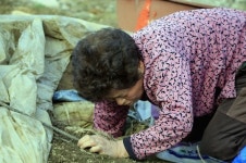 할머니, 안녕하세요 이 한마디에...