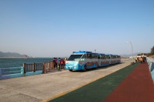 해초 향기 물씬 오동도, 동백꽃 뚜욱 뚜욱