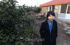 무작정 제주 이민이 위험한 진짜 이유