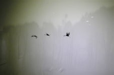 이 봄, 인사동에 약 바르러 가자