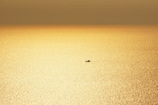 세월호와 함께 침몰한 수많은 섬들도 인양해야