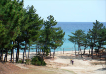 책에서 배우던 관동팔경을 가슴으로 느끼다