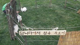 봄날 나른한 오후, 가벼운 산책으로 일상탈출
