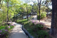 효창공원에 이런 것도? 나만 몰랐네