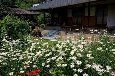 연극쟁이의 삭발, 지리산 생활도 편치 않다