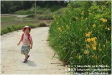 다 함께 시골길을 걸으면서 본다