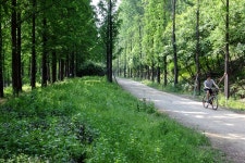 왕년의 난지도... 초록의 낭만, 사랑스럽네