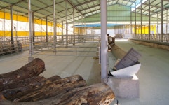 몸살 육상풍력, 착한 전기를 만들 수 있을까