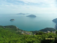 거제 망산을 가득 채운 연둣빛 대금 소리