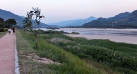 거지도 1년 넘게 배 두드린다는 황금벌판, 평사리