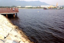 남해안 행암만 일대 시뻘건 바닷물 적조 발생