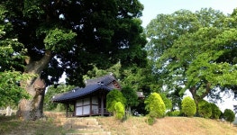 할머니들에게 신상 털리며 얻은 정보, 입이 쩍!