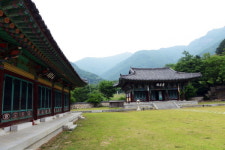 시원한 여름길, 표충사로 향하는 108 여정