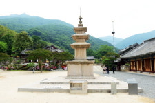 시원한 여름길, 표충사로 향하는 108 여정