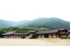 시원한 여름길, 표충사로 향하는 108 여정