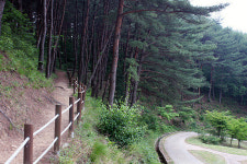 영덕에 가서 대게만 먹고 오면 섭섭하지