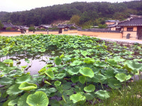 영덕에 가서 대게만 먹고 오면 섭섭하지