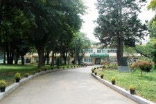 숲이 하늘 가린 학교, 뭘 배워도 좋다