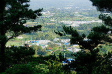 곰솔이 지키는 마을 수산리를 아십니까