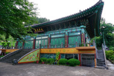 곰솔이 지키는 마을 수산리를 아십니까