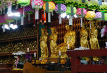 곰솔이 지키는 마을 수산리를 아십니까