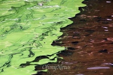 [오마이포토] 경계 뚜렷한 한강과 홍제천