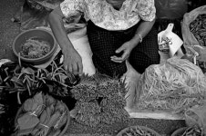 영악하지 못한 마석 오일장 할머니들