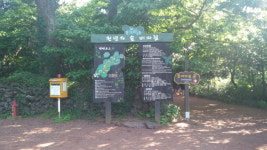 폭염도 힘 못 쓴, 온몸 세포 깨운 천년 숲