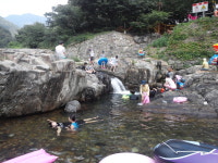 왁자지껄한 난민촌 밀양 표충사국민야영장