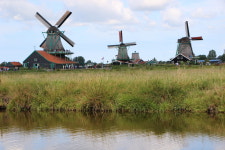 나막신 속에 아이가 쏙... 여기서 구경하세요