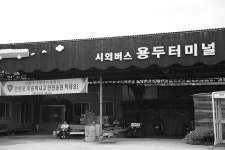 한산한 오일장, 정구지 꽃처럼 피어났으면