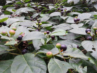 아는 사람만 아는 해변길과 해수욕장