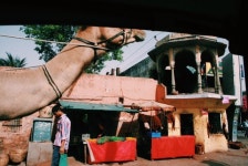 여자 생각에... 수많은 창 달린 은밀한 궁전