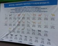 도축위기 사슴·흑염소에게 이름을 붙여준 이유