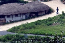 오천원 가마솥 통닭, 바삭한 경주 오일장