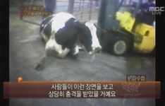 <추적 60분>과 <피디수첩>의 몰락... 하지만