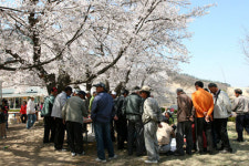 윷놀이 하다가 살인... 설마, 올해에도 또?