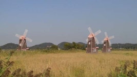 마트에서는 절대 살 수 없는 재미, 이곳에 있다