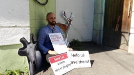 한국 흑염소 구하러 단식 농성하는 미국인