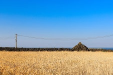 [사진] 사라져서는 안 될, 우도의 아름다운 돌담