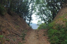 신숭겸 장군의 황금 머리, 사실일까