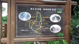 비오는 제주에 혼자 간다면, 이렇게 하세요