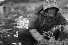 이 사람들은 홀대받아야 할 이들이 아닙니다