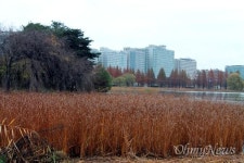 비에 젖은 고양호수누리길, 가을이 흠씬 물들어