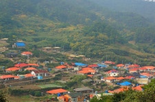 알면 놀라게 되는, 정약전이 지은 죄